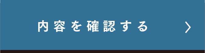 この内容で確認する
