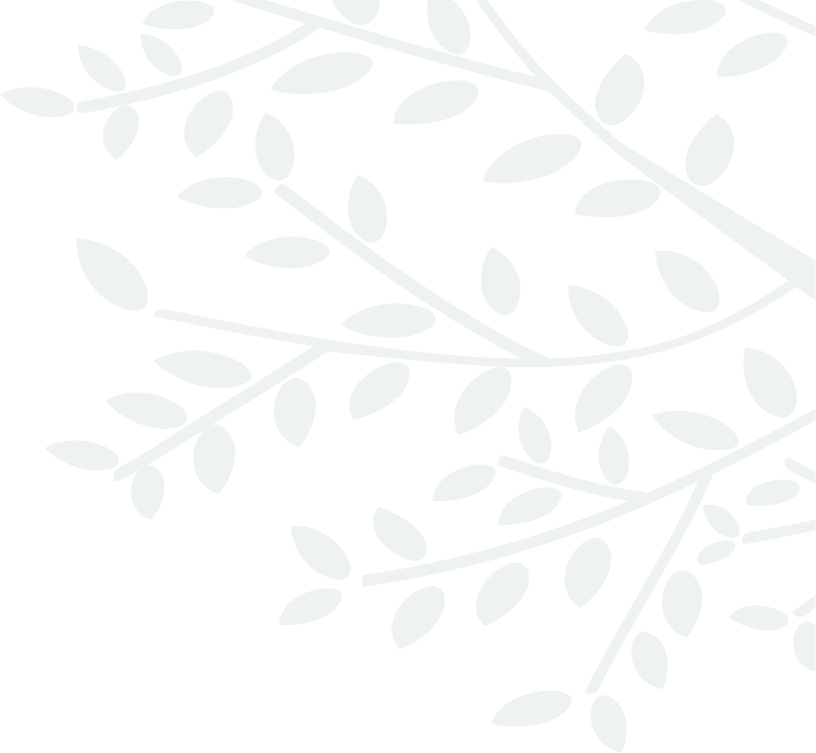 敷島ハウジング コンセプト 木の葉 背景イメージ
