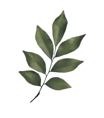 敷島ハウジング 敷島ステラ MIRAGE GARDEN 葉っぱ