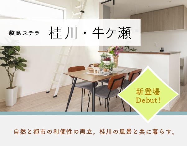 分譲地画像